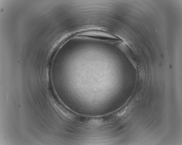 X0000078230350200611171439