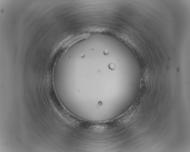 X0000078230352200611171439