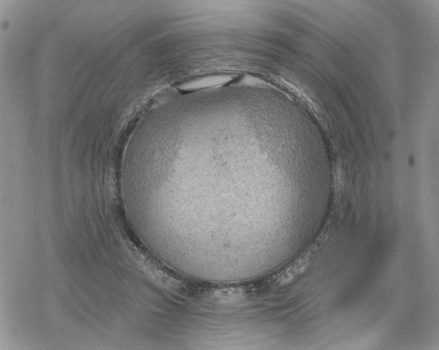 X0000078230353200611171439