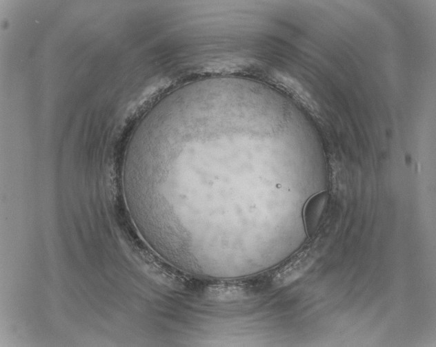 X0000078230354200611171439