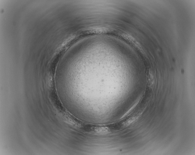 X0000078230355200611171439