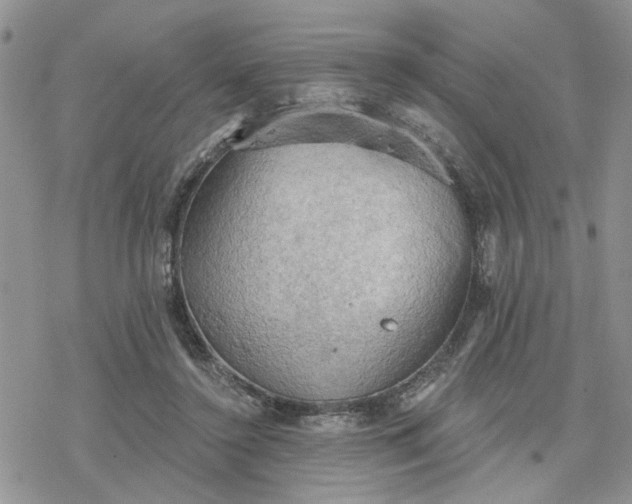 X0000078230356200611171439