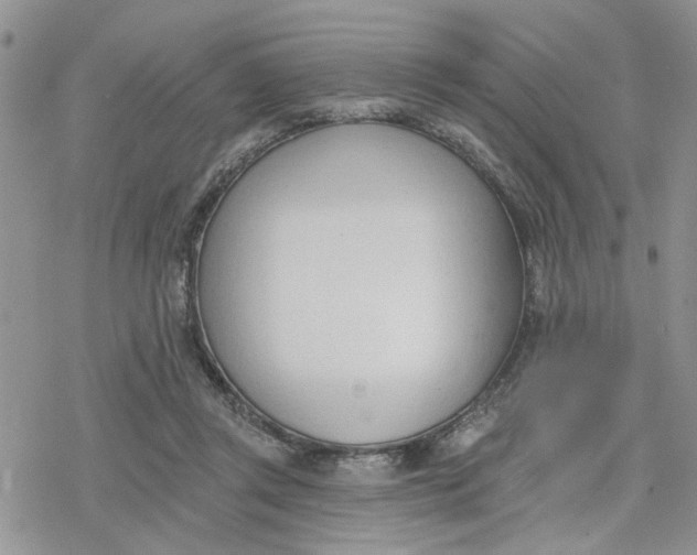 X0000078230357200611171439