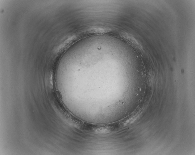 X0000078230358200611171439