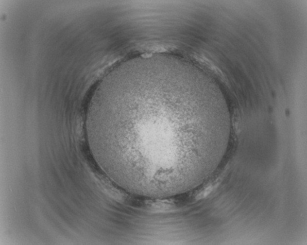 X0000078230359200611171439