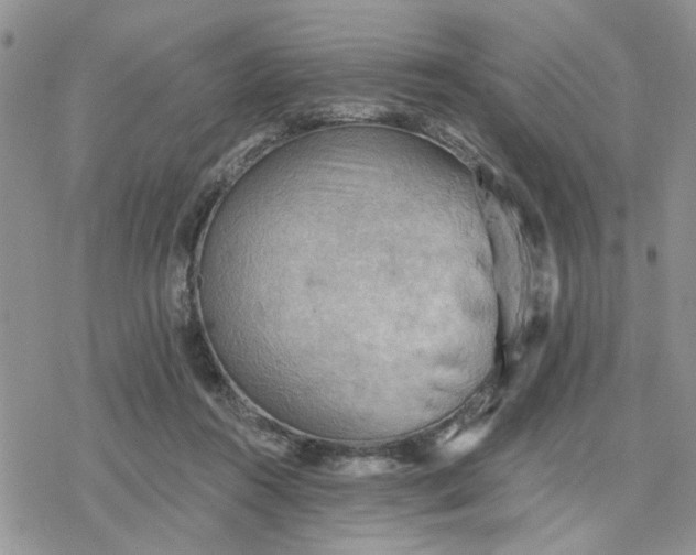 X0000078230360200611171439