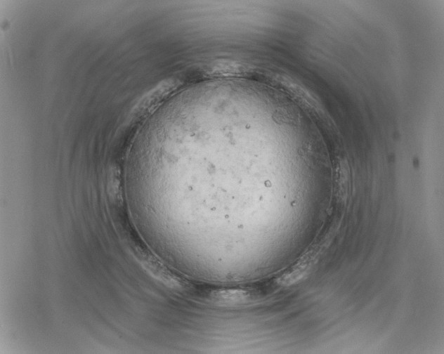 X0000078230361200611171439