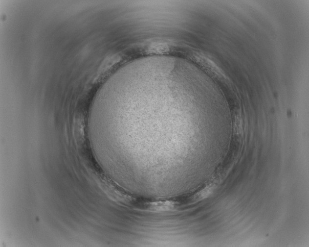 X0000078230363200611171439