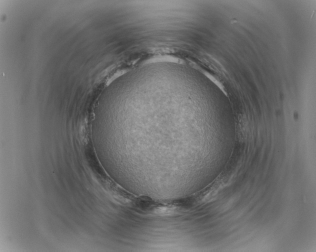 X0000078230364200611171439