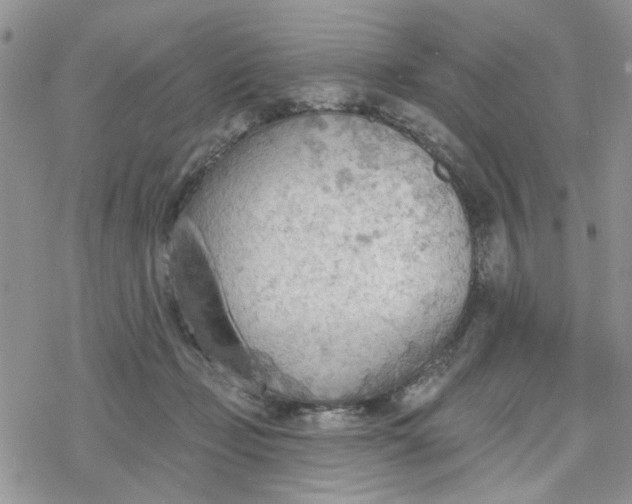 X0000078230365200611171439