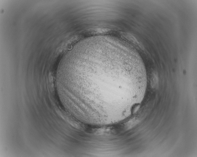 X0000078230366200611171439