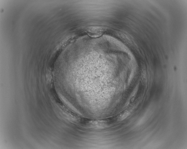 X0000078230367200611171439