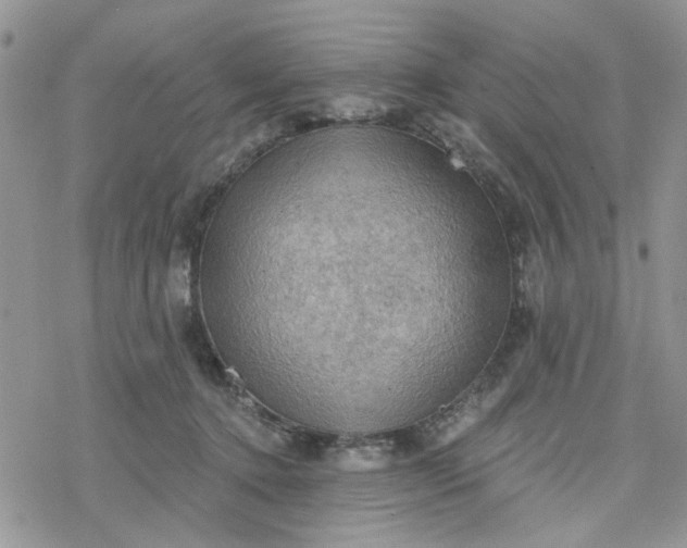 X0000078230368200611171439