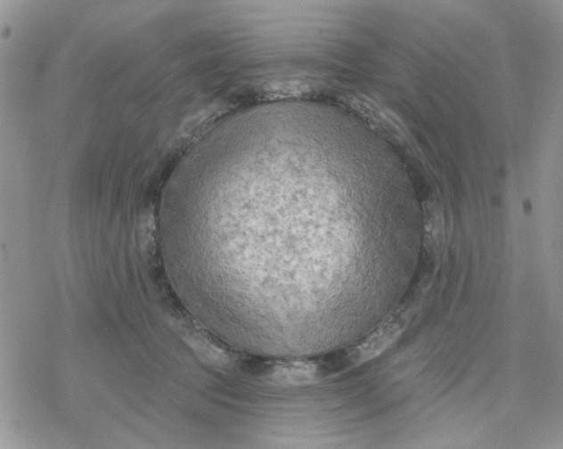 X0000078230369200611171439