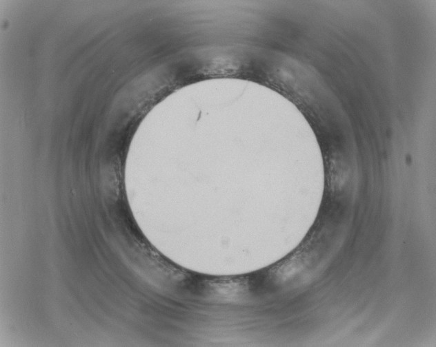 X0000078230370200611171439