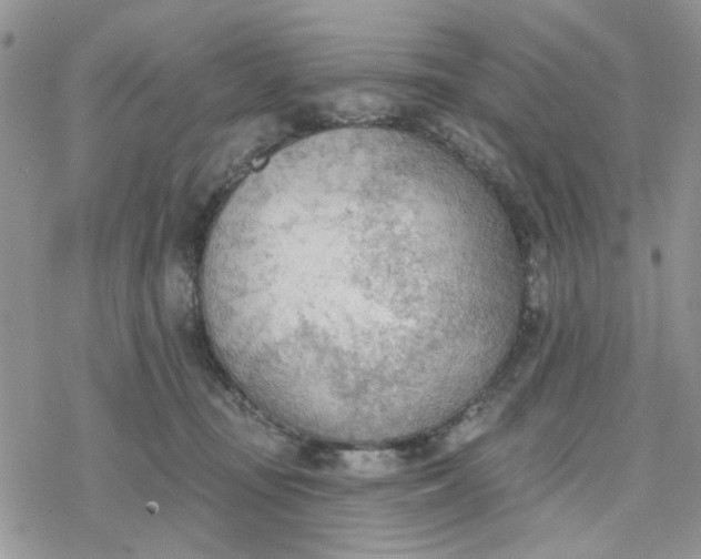 X0000078230371200611171439