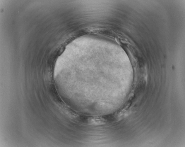 X0000078230372200611171439