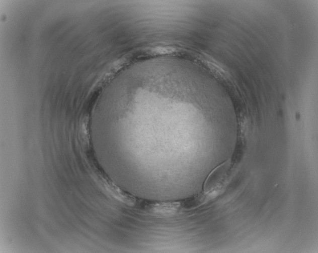 X0000078230373200611171439