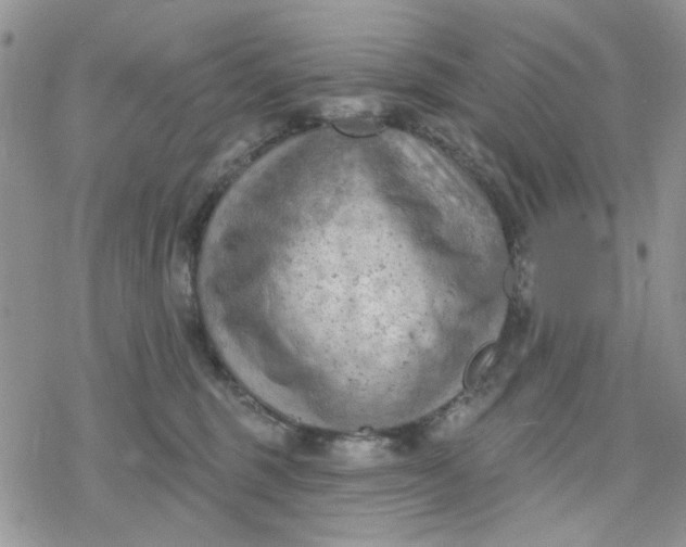 X0000078230375200611171440