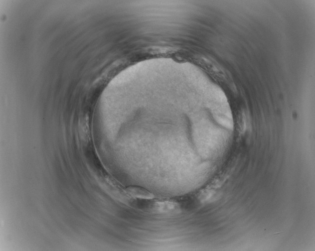 X0000078230376200611171440