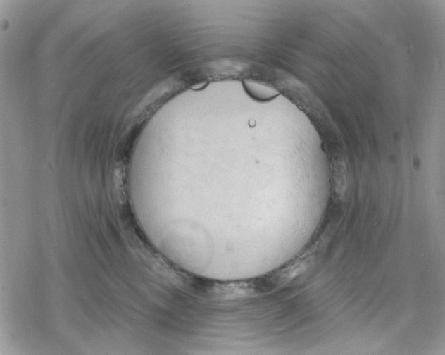 X0000078230378200611171440