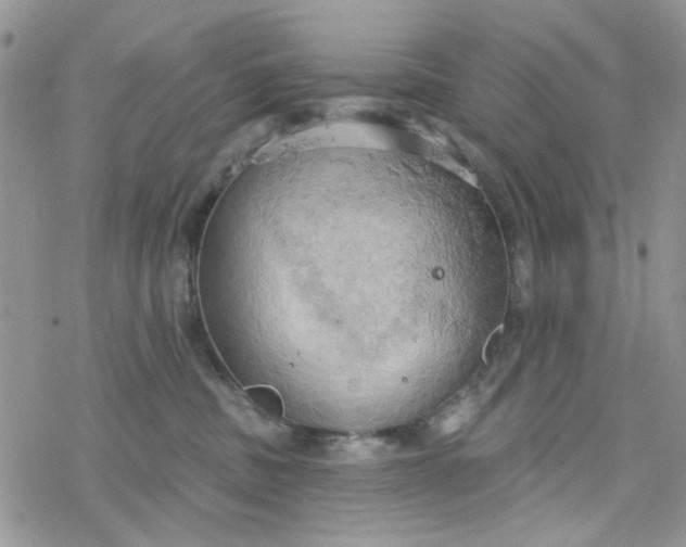 X0000078230379200611171440