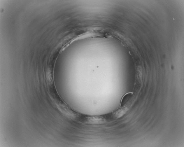 X0000078230380200611171440