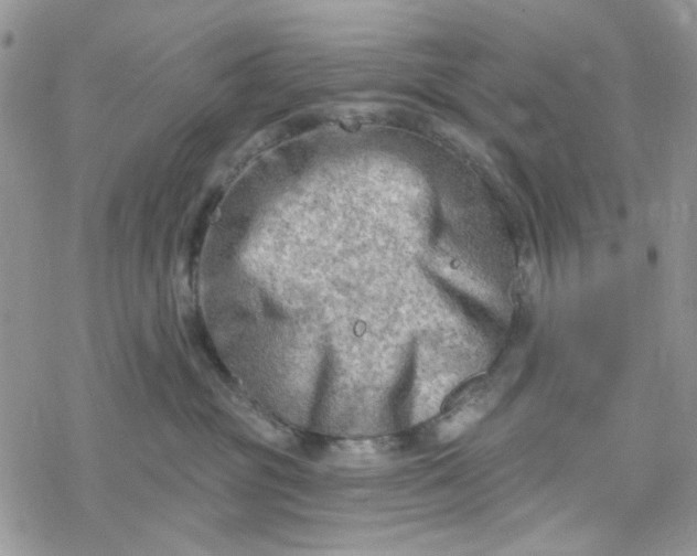 X0000078230381200611171440