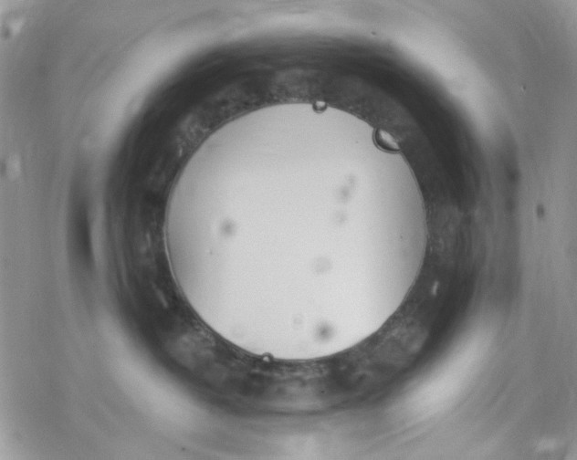 X0000078230382200611171440