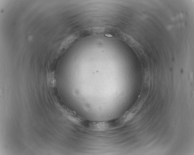 X0000078230383200611171440