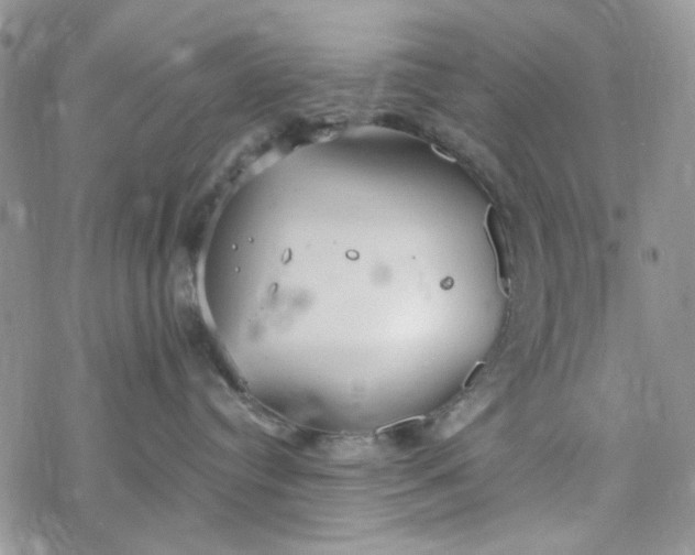 X0000078230384200611171440