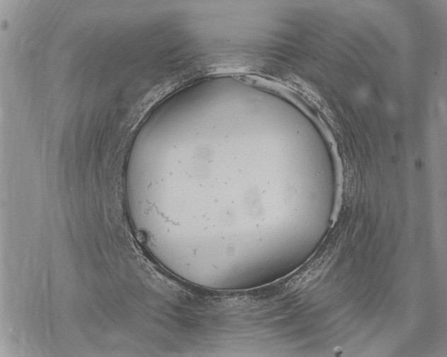 X0000078230385200611171439