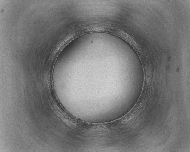 X0000078230386200611171439