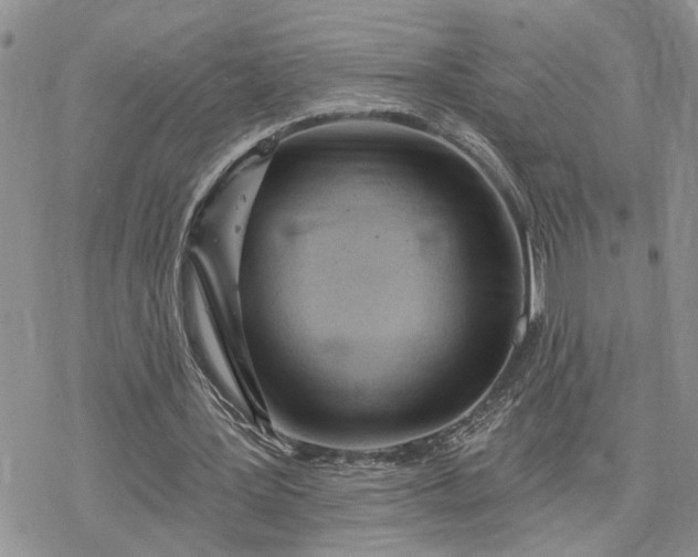 X0000078230387200611171439