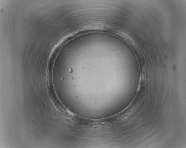 X0000078230388200611171439