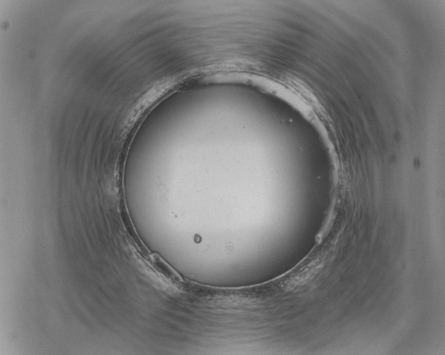 X0000078230389200611171439