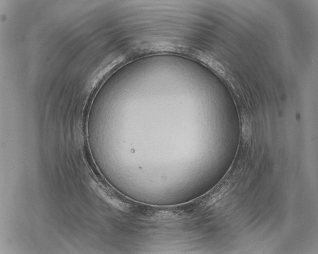 X0000078230390200611171439