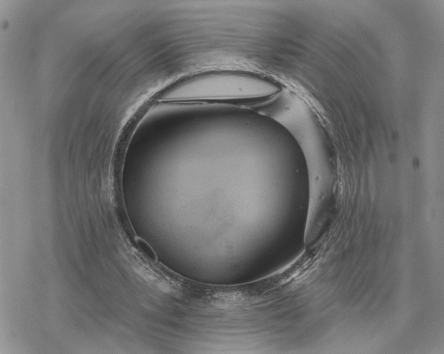 X0000078230391200611171439