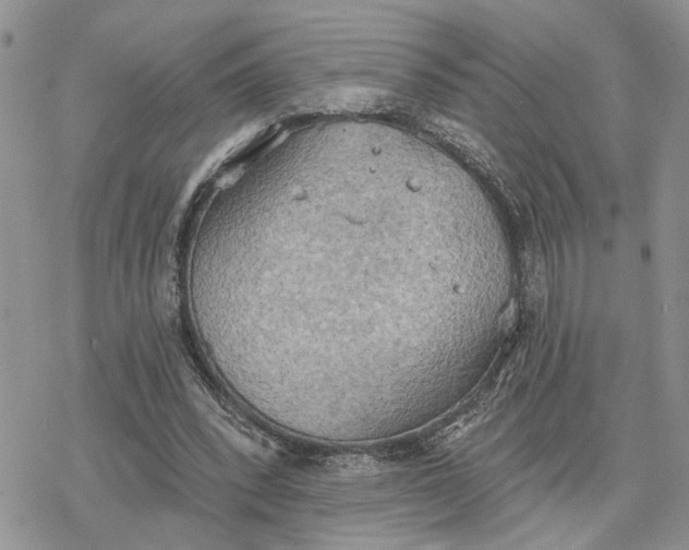 X0000078230392200611171439