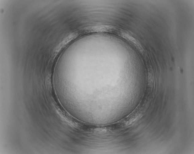 X0000078230394200611171439