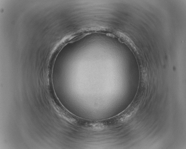 X0000078230395200611171439