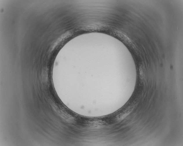 X0000078230396200611171439