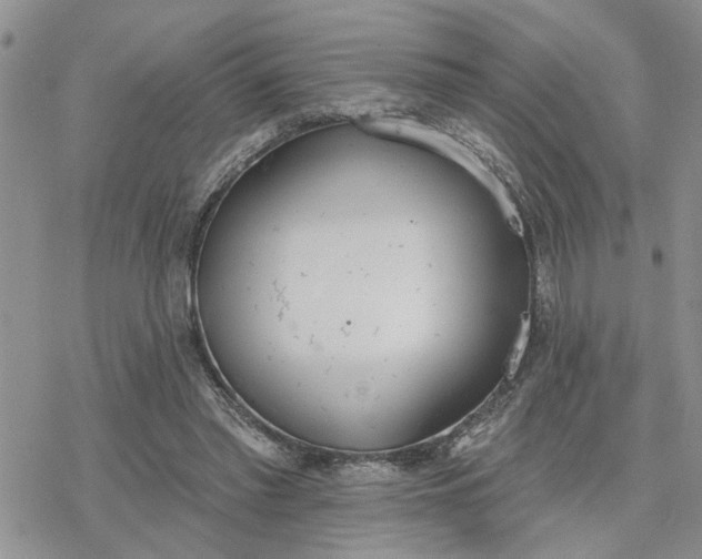 X0000078230397200611171439