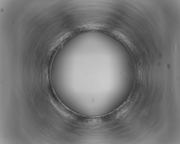 X0000078230398200611171439