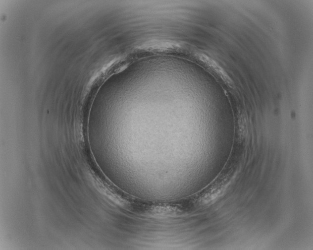 X0000078230399200611171439