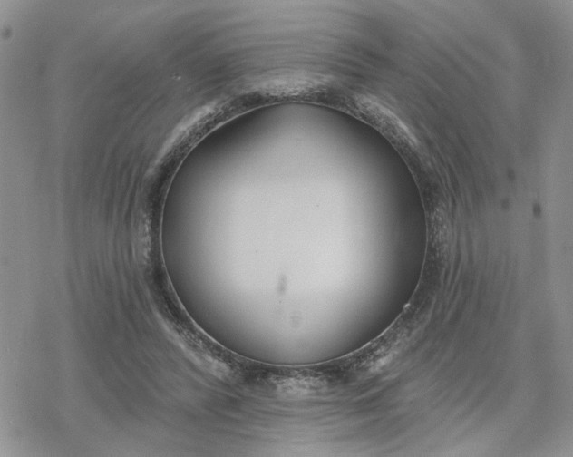 X0000078230400200611171439