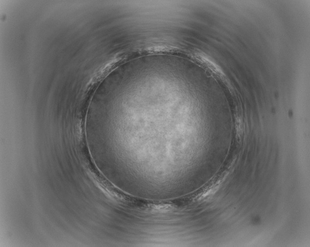 X0000078230401200611171439