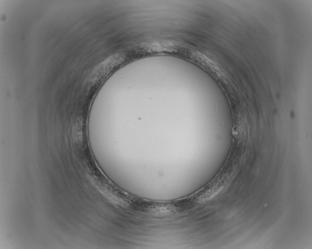 X0000078230402200611171439