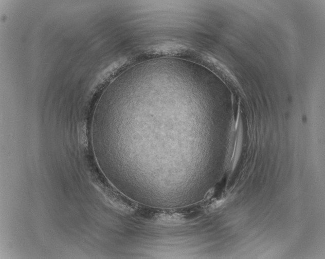 X0000078230403200611171439