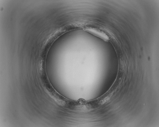 X0000078230404200611171439